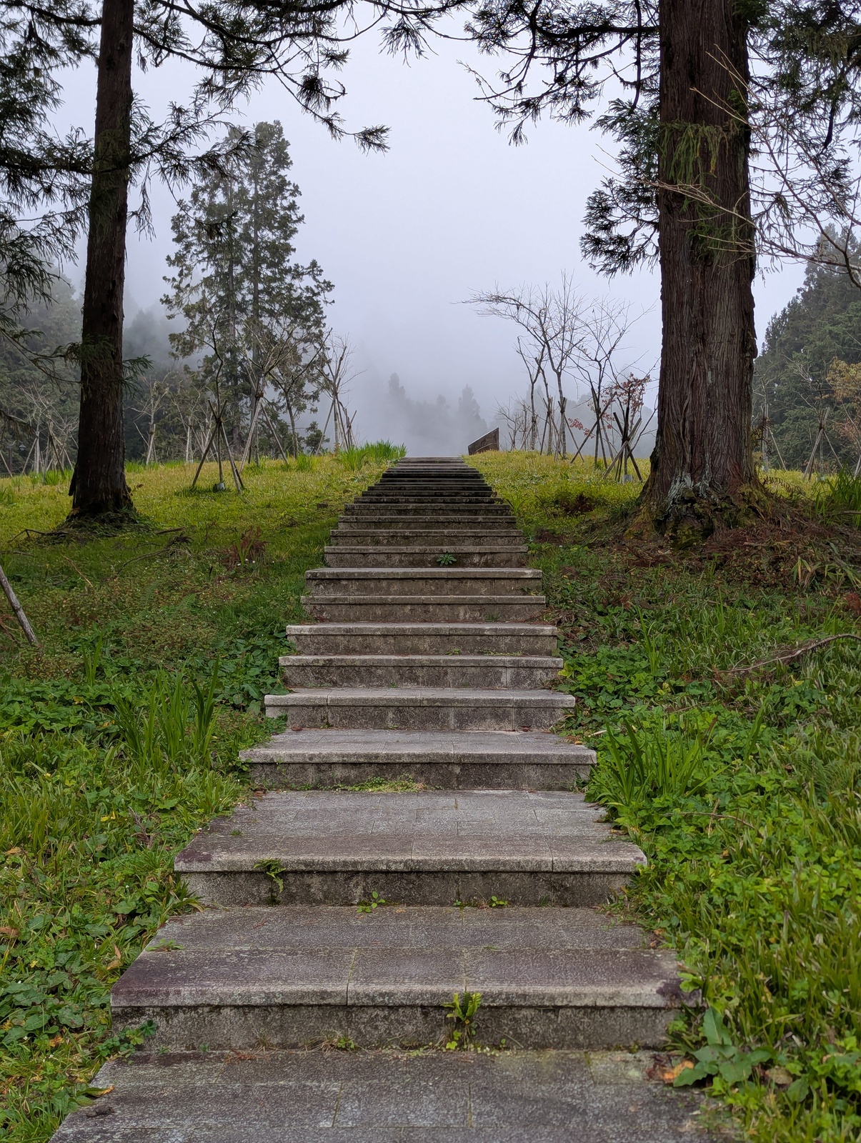 Steps in one of the parks in Alishan