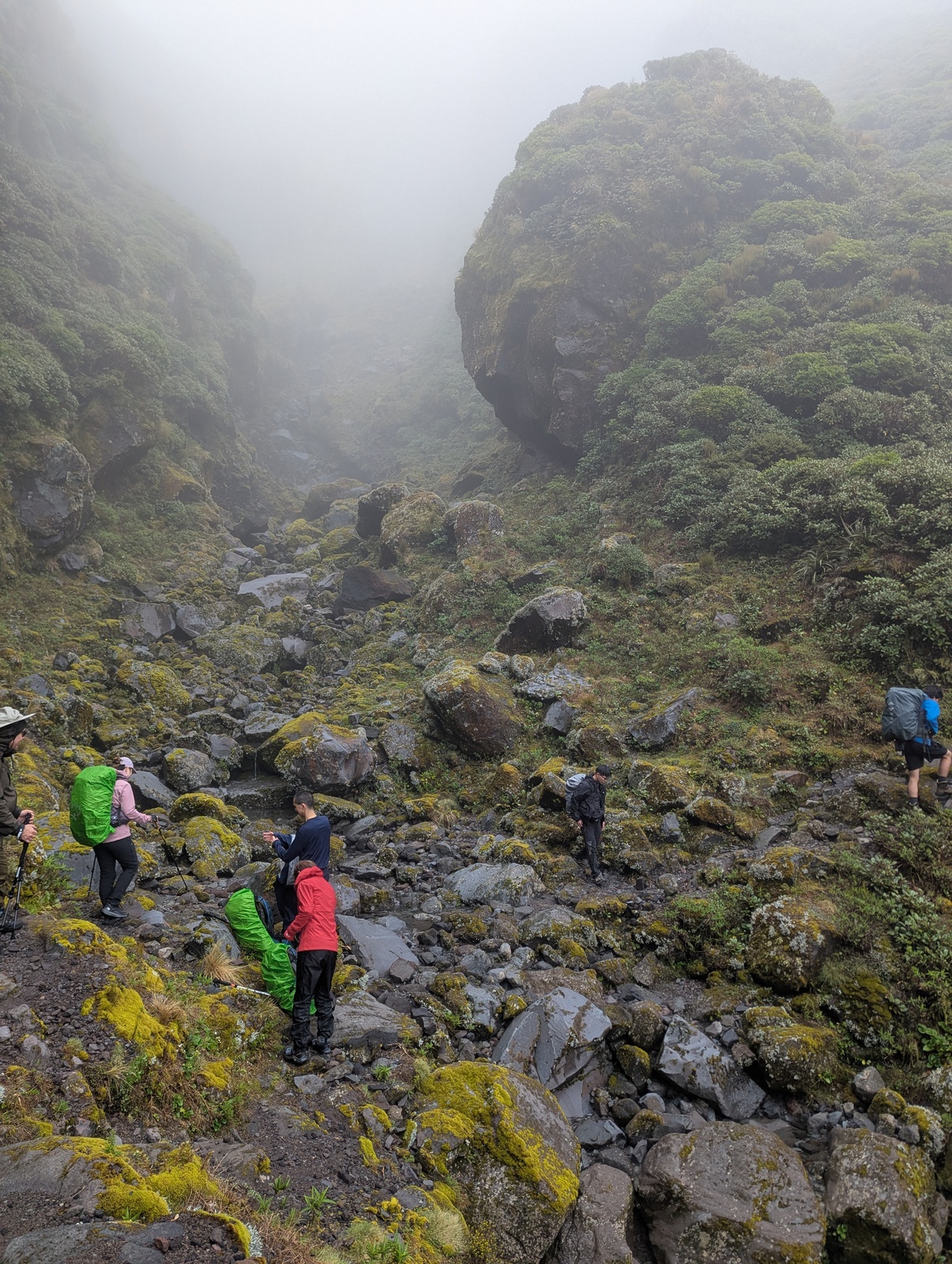 A rocky gully on the Holly Track, all misty