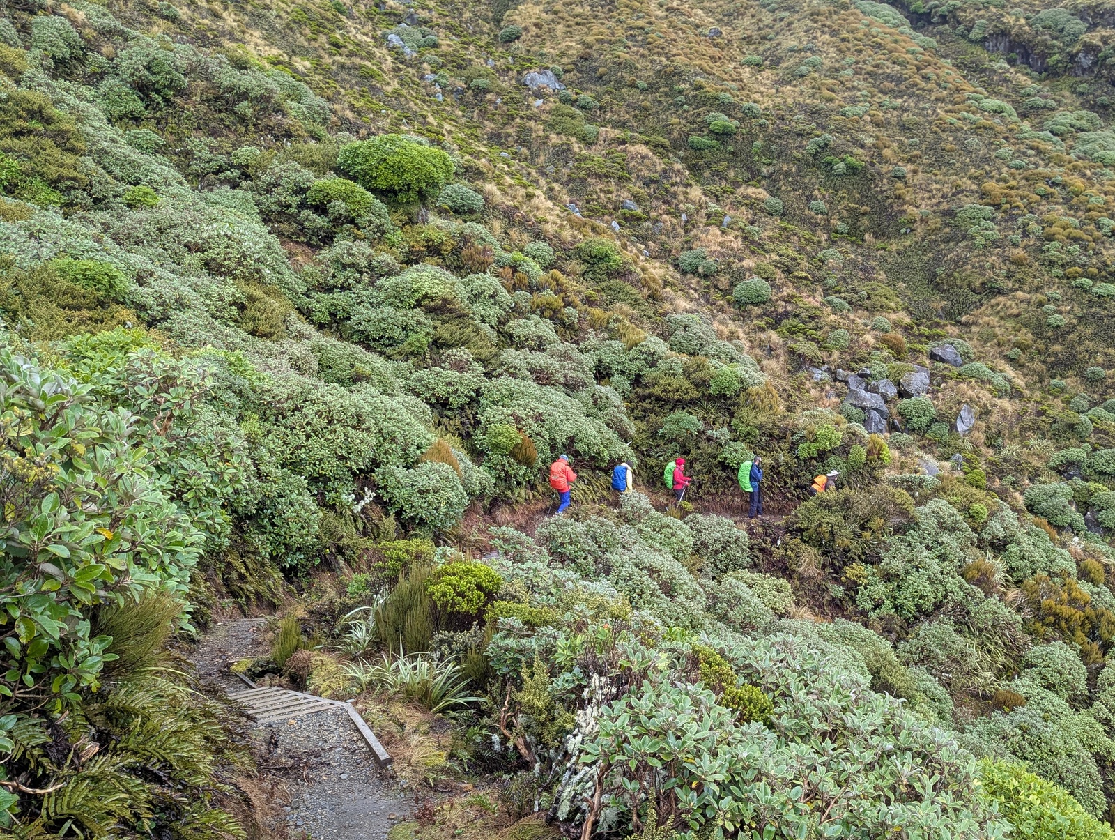 The Holly Track winds around the lava flows on the flank of Mt Taranaki