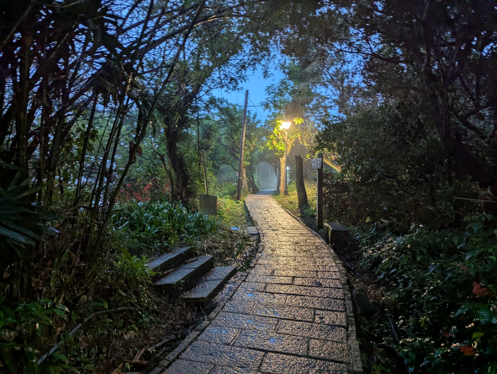 The Jiuwu Peak path was mercifully well-lit on a rainy night