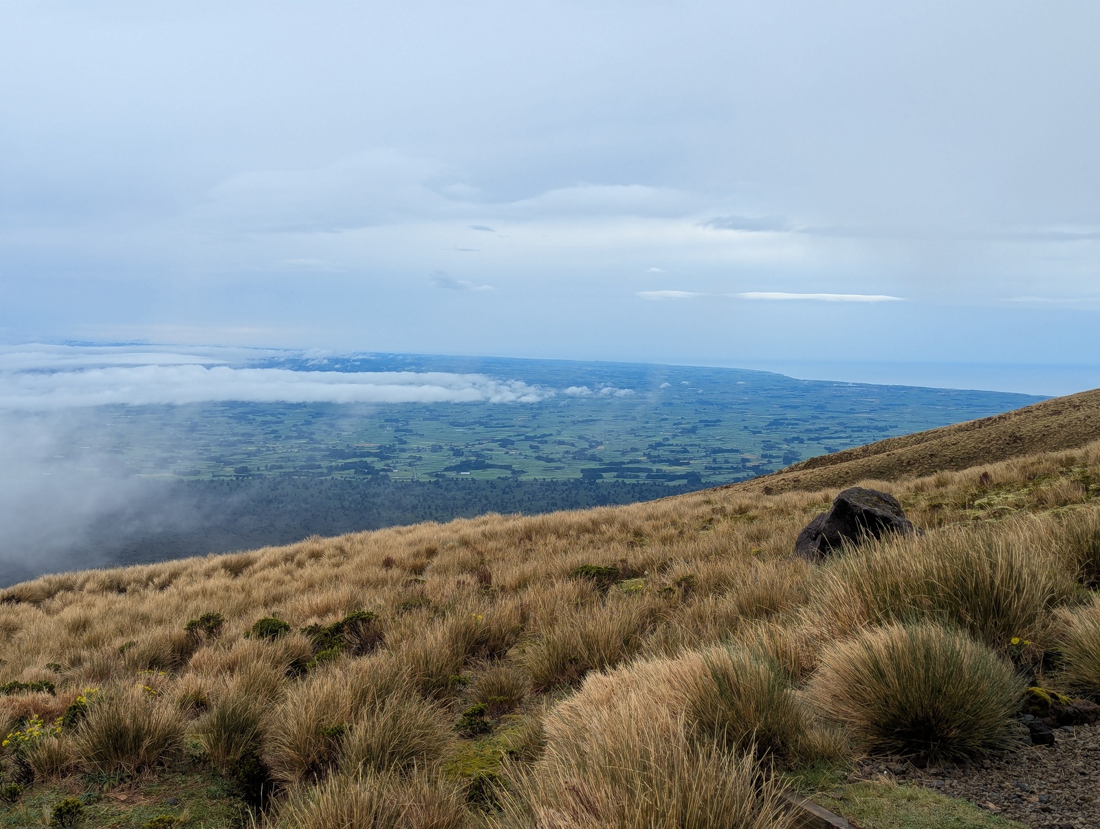 A bit of a view of the countryside south of Mt Taranaki, from near Tahurangi Lodge