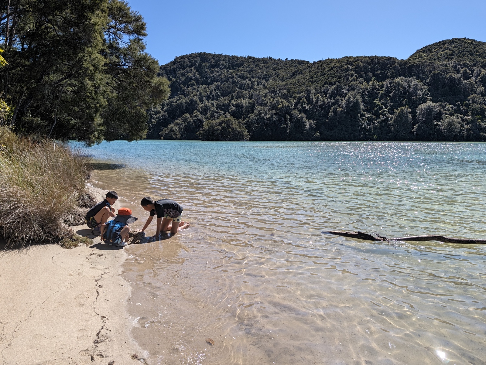 Children playing on the shore of the estuary at Bark Bay, very close to the hut