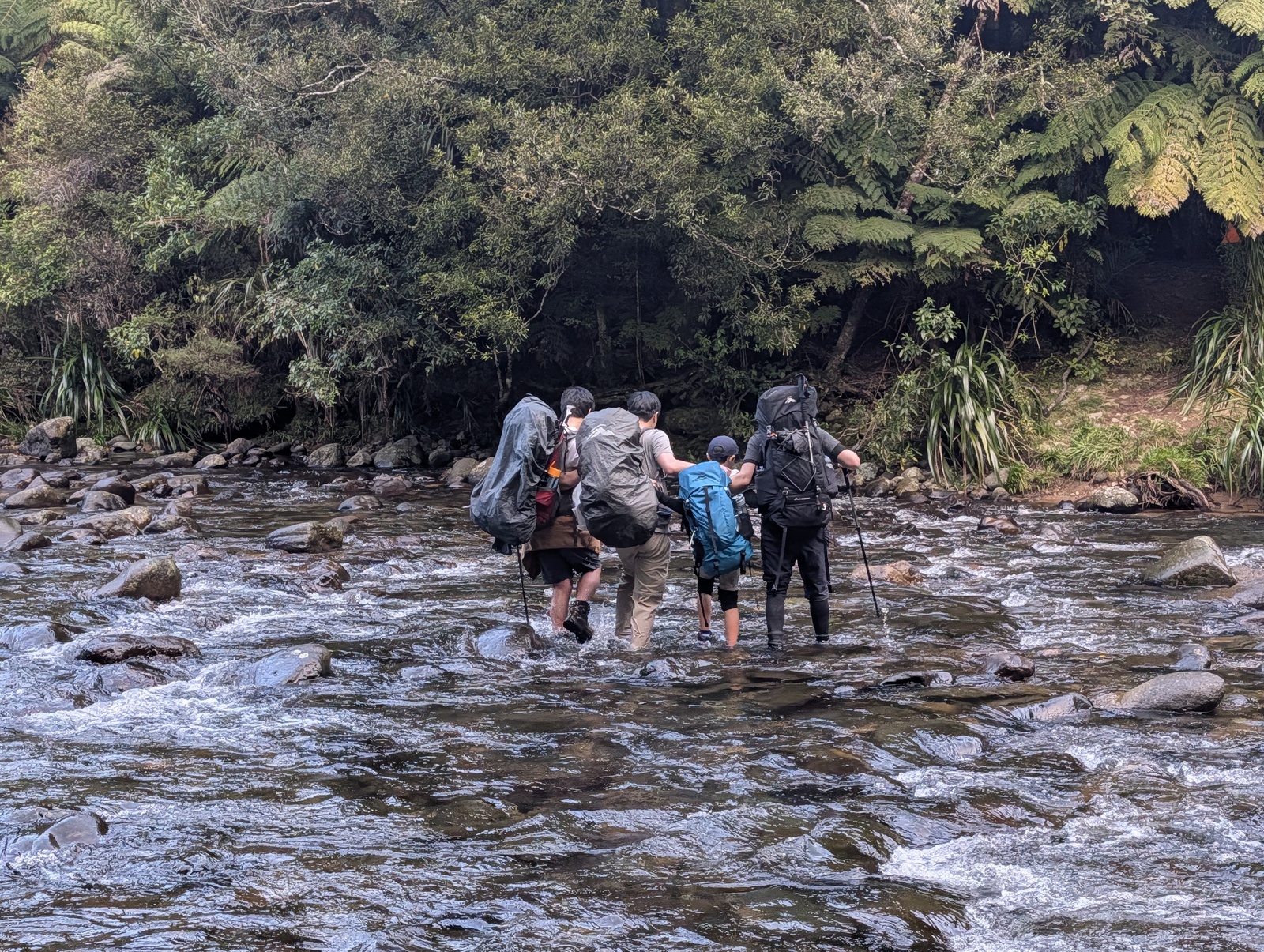 Having fun crossing the Waitawheta River beyond Dicky Flat, using the mutual support technique