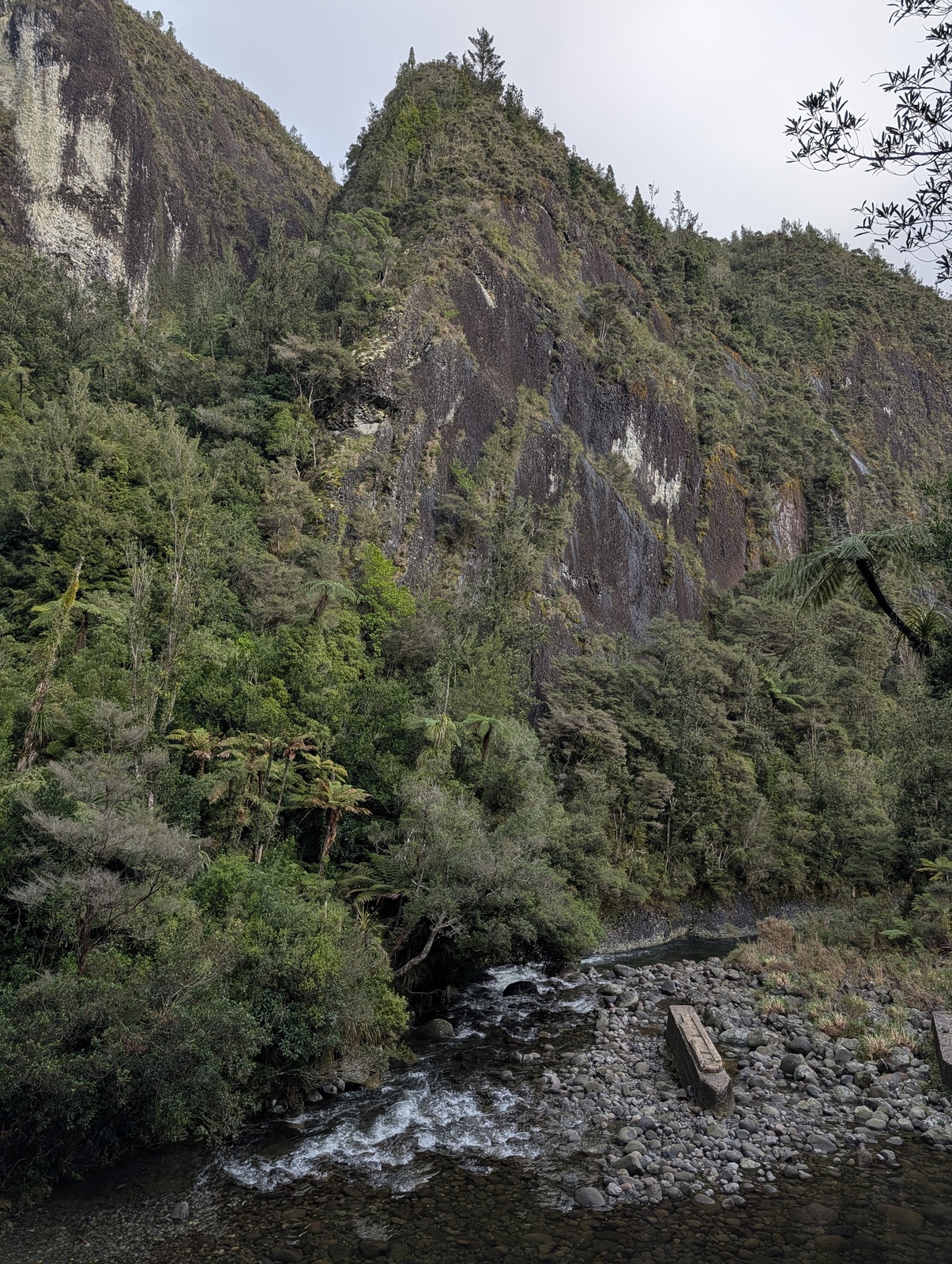 Cliff-sided Waitawheta gorge