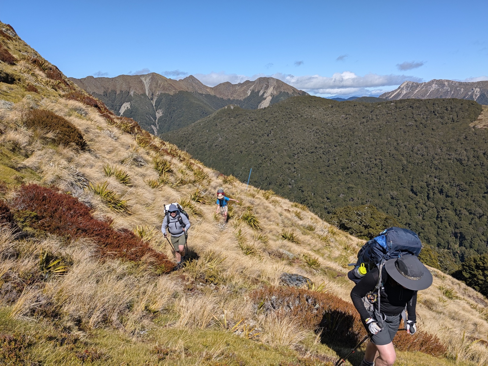 Following the poled route over Biggs Tops above the bushline