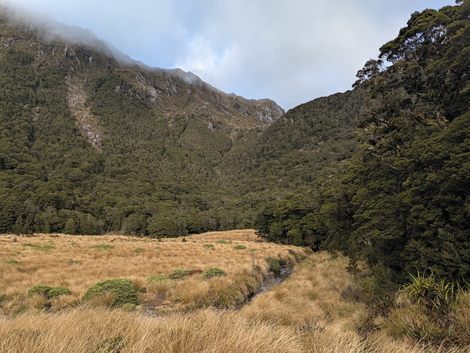 Stag Flat near the Little Wanganui Saddle