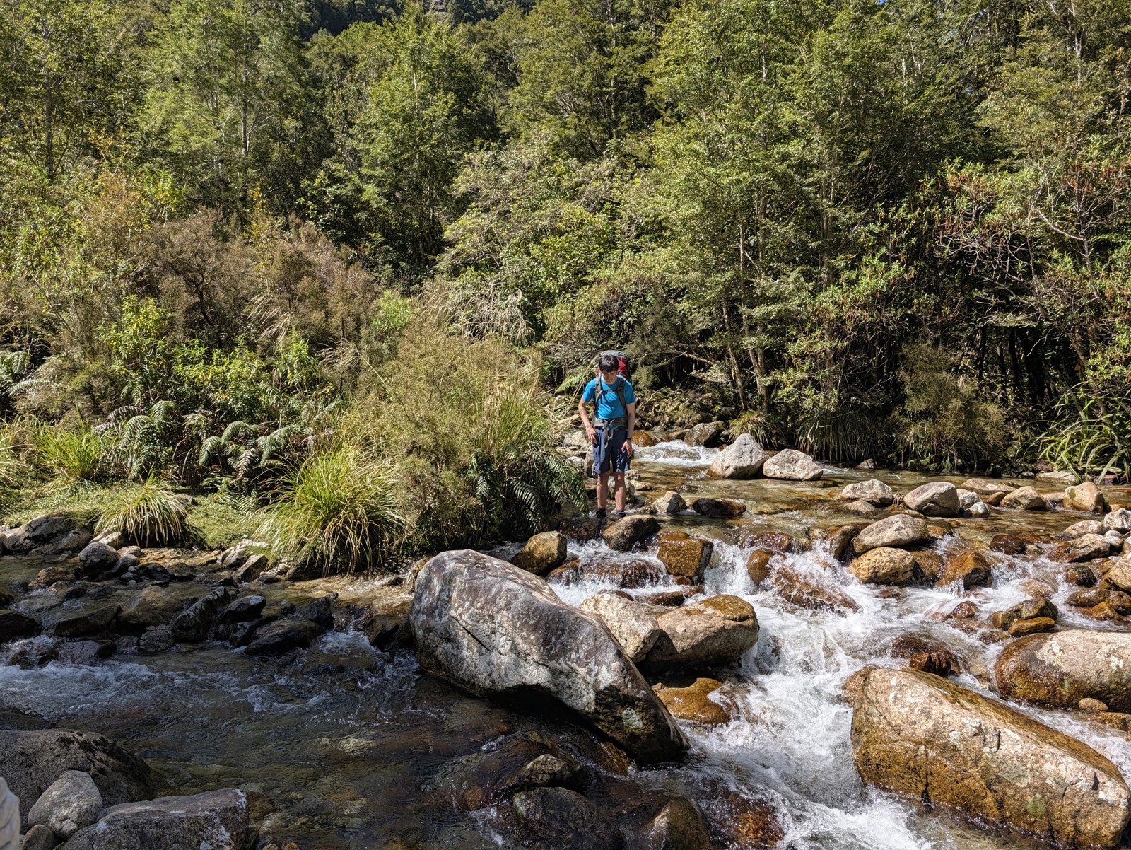 One of the many side creeks to cross on the Wangapeka Track ... at least there's no problem replenishing one's water bottle
