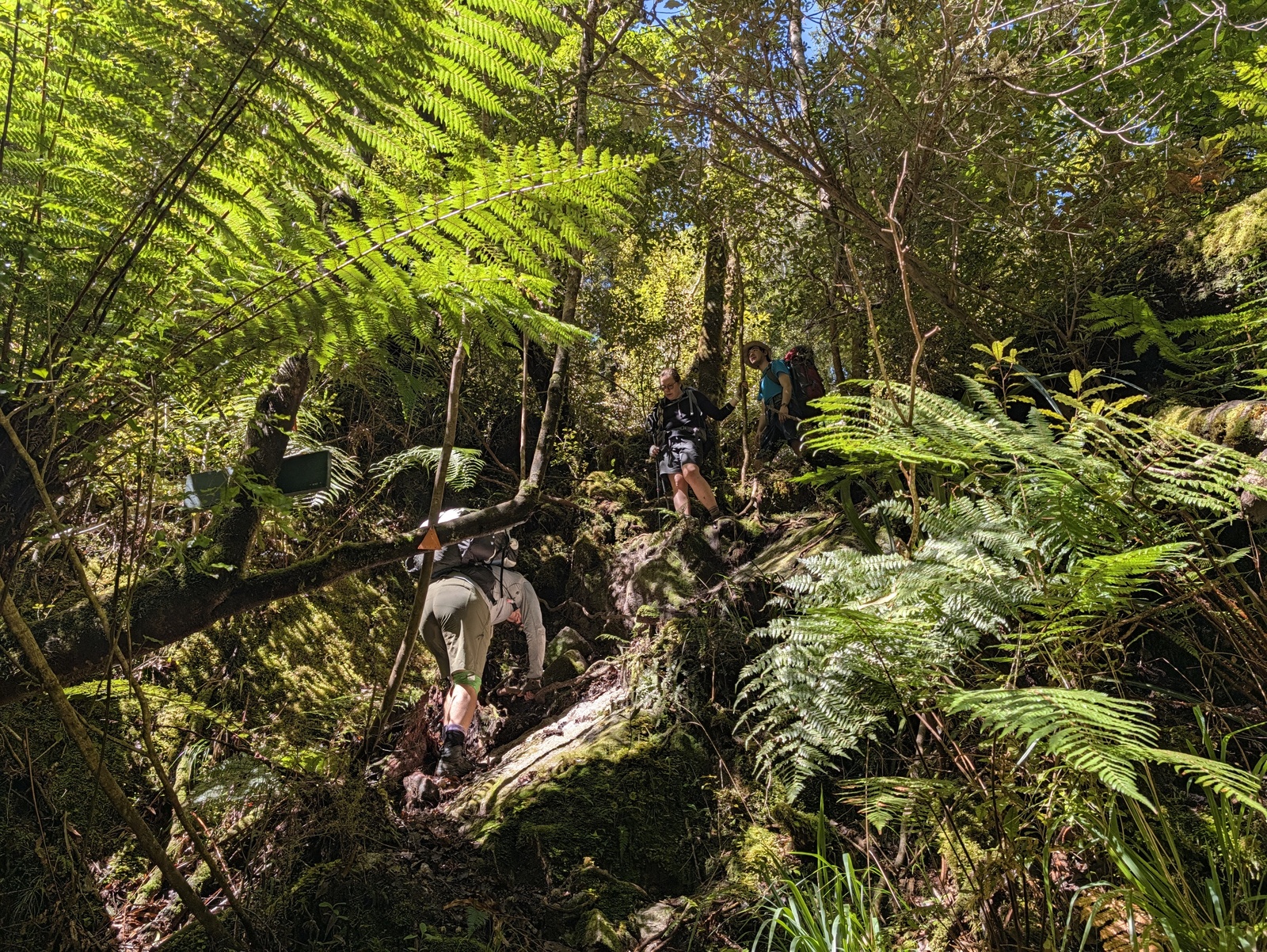 Steep climbs up and over obstacles were very frequent