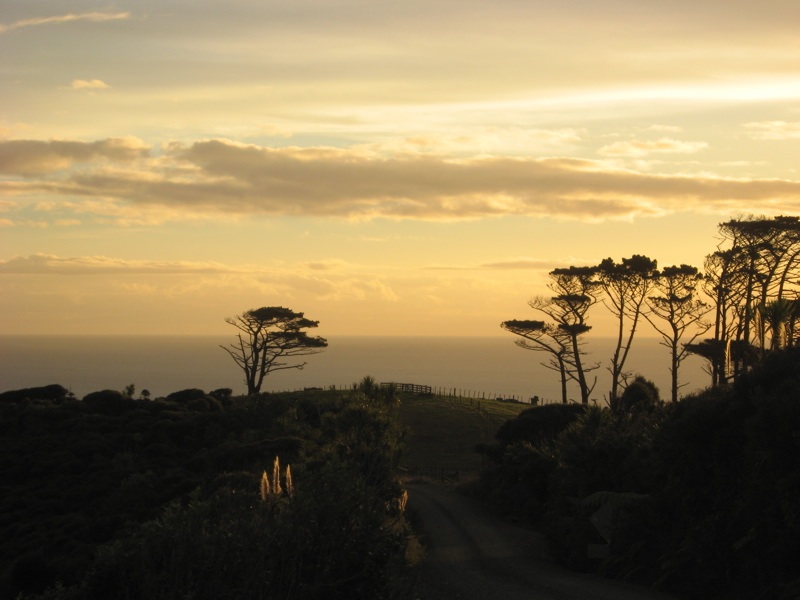 Tasman Sea from Anawhata Road at sunset
