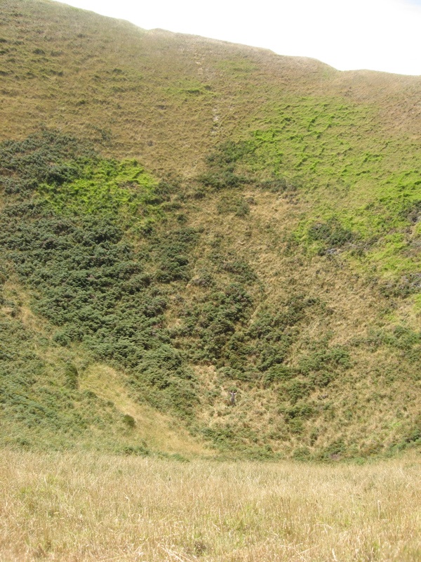 View of Brown's Island