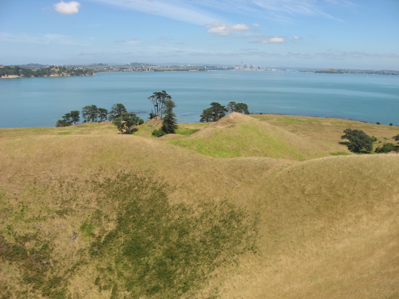 View from Brown's Island