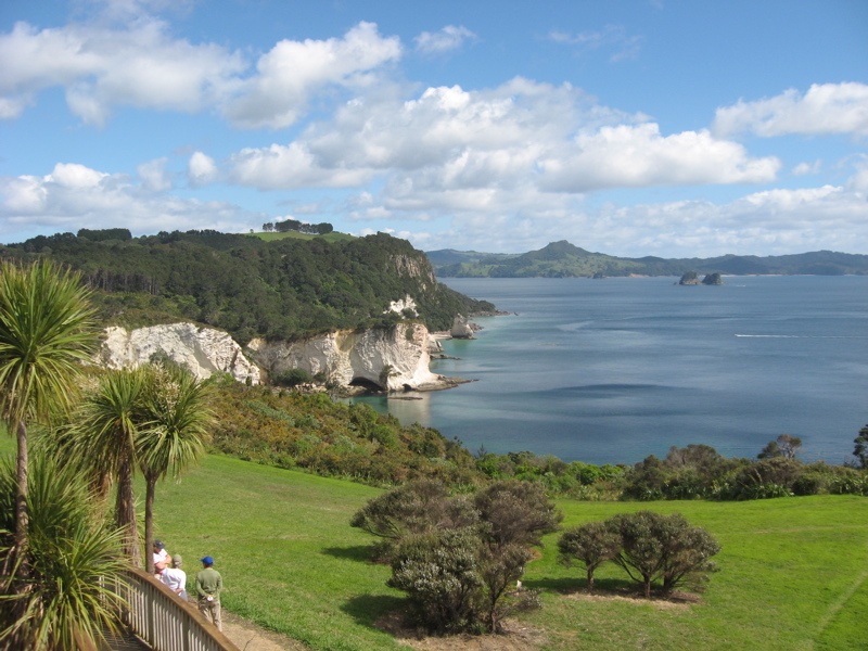 Looking north from the Cathedral Cove carpark along the coast