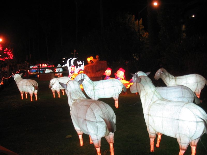 Sheep lanterns