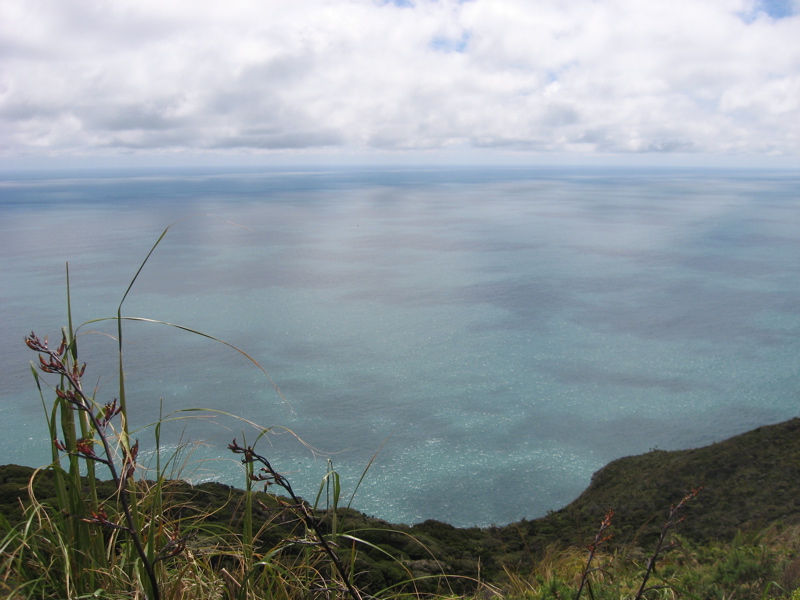View over the ocean from the Mercer Bay track