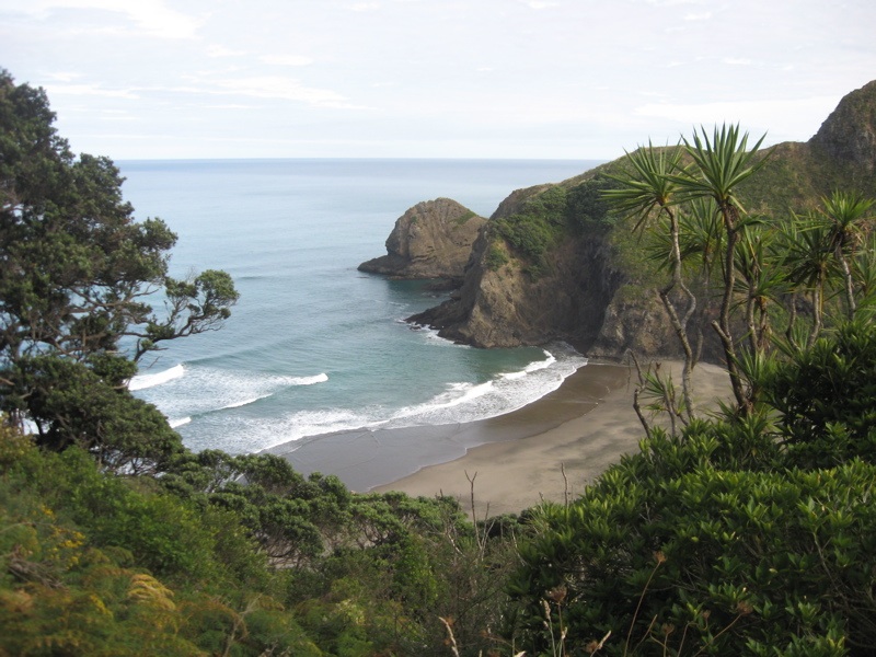 View of White's Beach from the track down from Anawhata Road